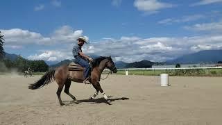 Horse Training with Jim Greendyk