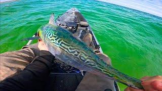 Kayak Fishing For A Very Cool Fish