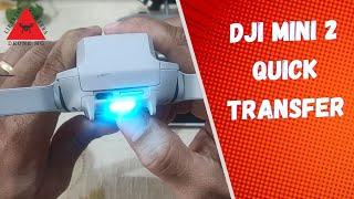 Dji Mini 2 Transferência de Arquivos Rápidos (Quick Transfer)