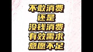 不敢消费？还是不能消费？有效需求为何刺激不起来？