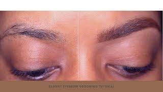 Best Eyebrow routine for Beginners in 4 Easy STEPS!!