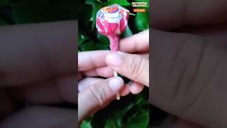 Hot Mil Milk Lollipop #yummy #sweet #candy #lollipop #unboxing #satisfying #fyp #shorts