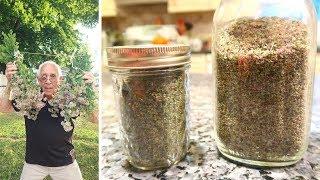 Drying Oregano