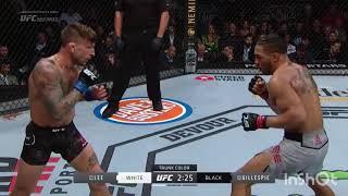 Knockout of the day:UFC 244 Kevin Lee vs Gregor Gillespie