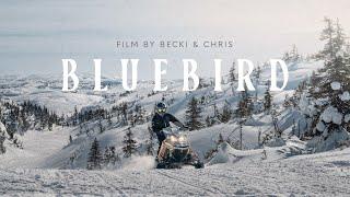 160 km Backcountry Snowmobile Documentary in Newfoundland, Canada | BLUEBIRD Film