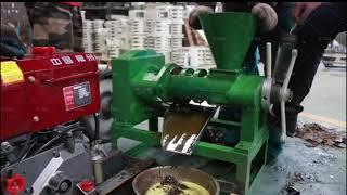 6YL-68 diesel engine screw oil press machine testing press cooking oil.