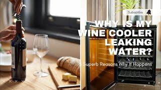 Why Is My Wine Cooler Leaking Water? 3 Superb Reasons Why It Happens