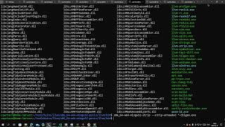 Canadian Compilation 12 : Finish canadian compilation with LLVM for windows on linux