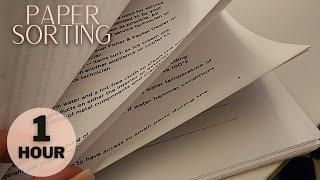 ⏰ ASMR 1 Hour of Crinkly Paper Sorting with Rain for Sleep and Relaxation - No Talking