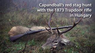 Hunting red stag with an original M 1873 Springfield Trapdoor rifle