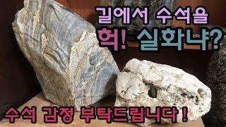 [예술가의 수석문화] 도시 골목에서 만난 수석 감정 부탁드립니다! 신세대 초보 수석인의 궁금증! Viewing wonderful stone [TV민혁]