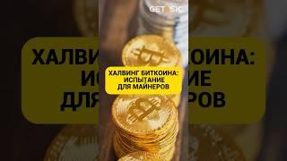 ХАЛВИНГ БИТКОИНА: ИСПЫТАНИЕ ДЛЯ МАЙНЕРОВ #халвинг #биткоин
