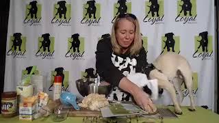 In the Kitchen with Kevin: Honest Kitchen Superfood Pour Overs Dog Treats (Episode 1)