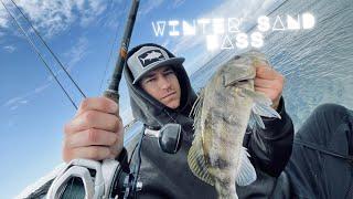 Chasing Winter Sand Bass