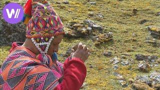 Schamane in Peru - Heiler, Hellseher und mehr