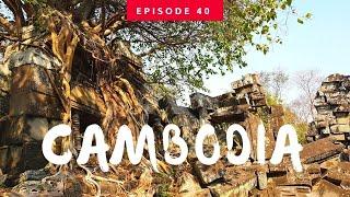 CAMBODIA ប្រាសាទ​ចៅ​ស្រី​វិបុល 앙코르와트 캄보디아 Chau Srei Vibol 베일에 쌓여 더 신비로운 사원 차우스레이비볼 사원 캄보디아조남인