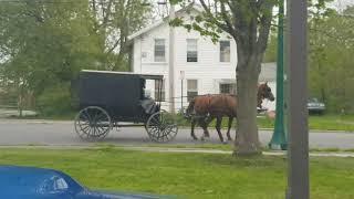 Two  Carriage ride #horses #asmrsounds #carriage #fyp #shorts