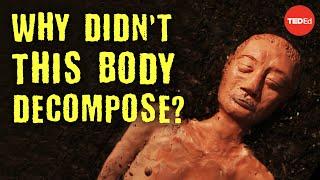 Why didn’t this 2,000 year old body decompose? - Carolyn Marshall