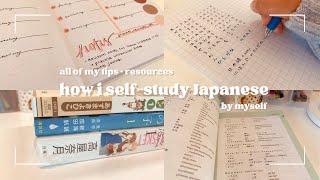 how i study japanese (self-study by myself) + my tips & best resources for beginners | my guide