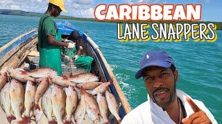 EPIC RED SNAPPER FISHING‼️8HRS AT SEA!!!