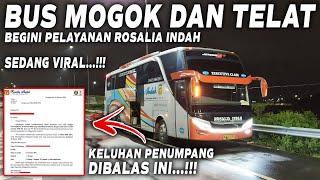 KELUHAN PENUMPANG DIBALAS INI...!!! VIRAL PELAYANAN BUS ROSALIA INDAH