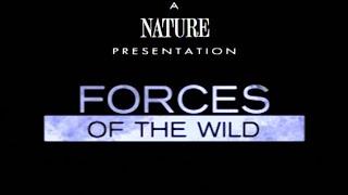 Forces of the Wild (Part 3 of 5) Heavenly Partners (1998)