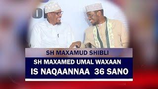 Sh Shibli || Sheekh Umal waxaaan is naqaaannaa 36 Sano