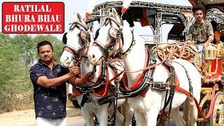 SONPARI BAGGI || RATILAL BHURABHAU घोड़ेवाले || INDIAN HORSES