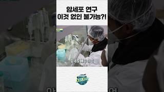 암세포 연구 이것 없인 불가능!? #다큐멘터리 #shorts #외국인