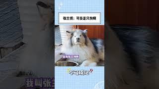 网友接到诈骗电话，但电话那头喊的是小狗的名字