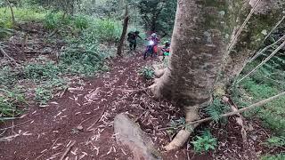 Electric dirt bikes (Electric Motion) in Hawaii