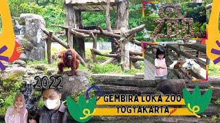 Gembira Loka Zoo 2022, Yogyakarta