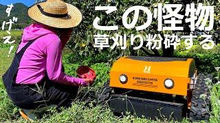 Radio-controlled grass cutter: Cut the grass from a distance in a forest of nasty weeds | HAIGE