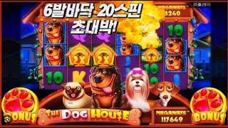 [슬롯][대박 슬롯]더 도그 하우스 메가웨이 : DOG HOUSE MEGAWAYS - 6스핀, 스핀 20개 슬롯 개집 대박 #슬롯 #슬롯바다 #slotbada #slotmaxwin