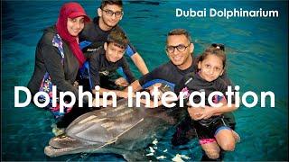 Dolphin Encounter | Dubai Dolphinarium