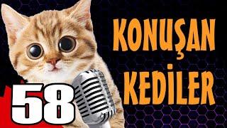 Konuşan Kediler 58 - En Komik Kedi Videoları