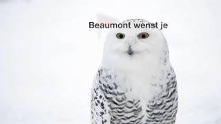 Als je goed kijkt...