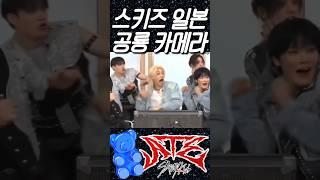 스트레이키즈 앞에 공룡이 나타난다면?