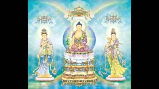 Tụng Chết Mà Sống - Thầy Thích Huệ Duyên - Phật Pháp Vô Biên