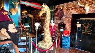 Florida's MOST BIZARRE & Fascinating Antique Store in TAMPA - Ybor City