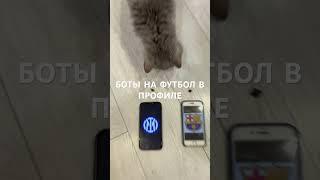 Прогноз на футбол Интер Барселона Лига Чемпионов 06.05.2025 #футбол