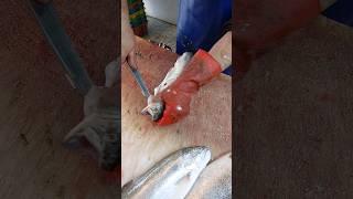 Cleaning and filleting trout at the fish market #fish