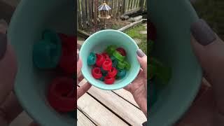 Jell-O Gummies! #shorts #asmr #jello #candy #satisfyingvideo #dollartree