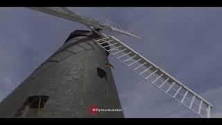 Windmill Gardens Brixton park tour