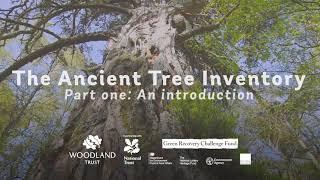 An Introduction to the Ancient Tree Inventory | ATI Part 1