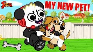 Playing with my NEW PUPPY! Let's Play Little Friends with Combo Panda