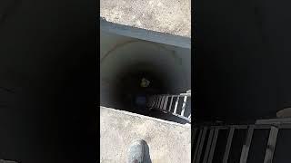 Как работают в Польше