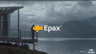 epax film4 ENG subs master okt20