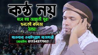 কন্ঠ শুনেই লক্ষ লক্ষ যুবক পাগলMaulana Obaidullah Mazhari New Waz 2022। ওবাইদুল্লাহ মাজহারী ওয়াজ