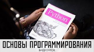 Python для начинающих. Видеоурок